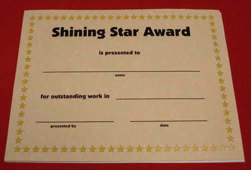 Shining Star Award | Terrific Teaching To