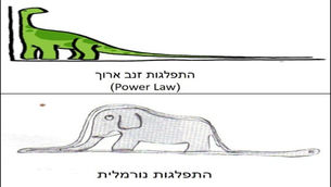 הרחבות לפרק 3: חוק הרשת מס' 1 - Power Law