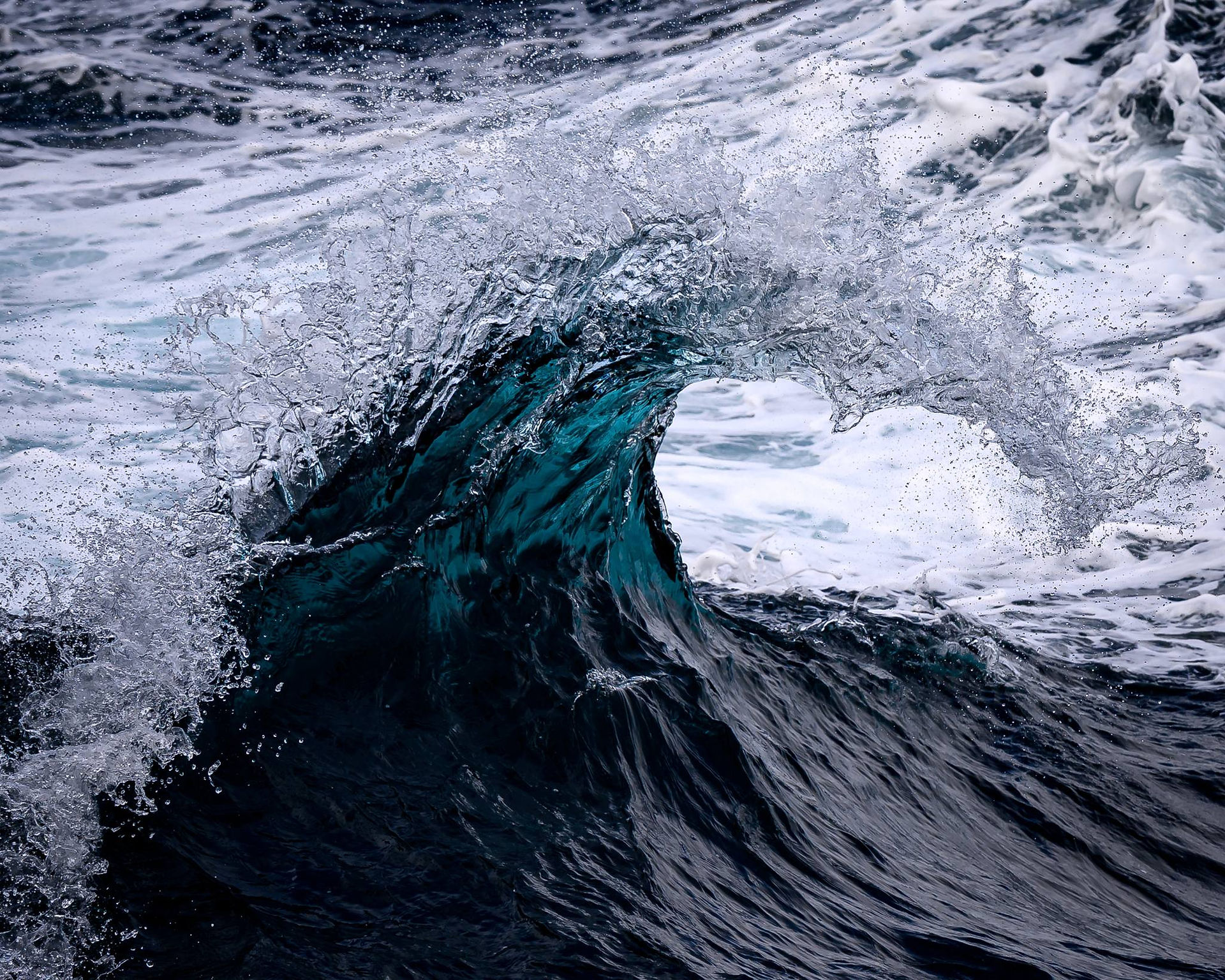 MS Borealis bow-wave (c)Martin Kitching/OWE
