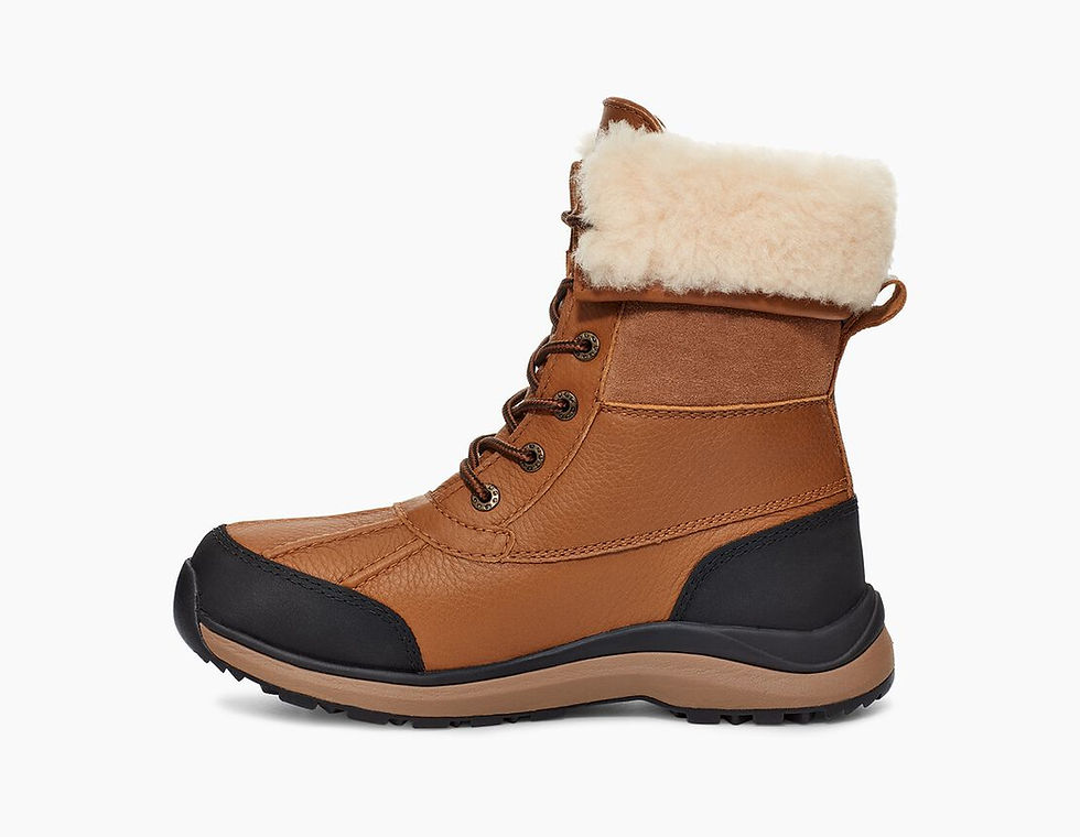 Adirondack III Boot Size 8