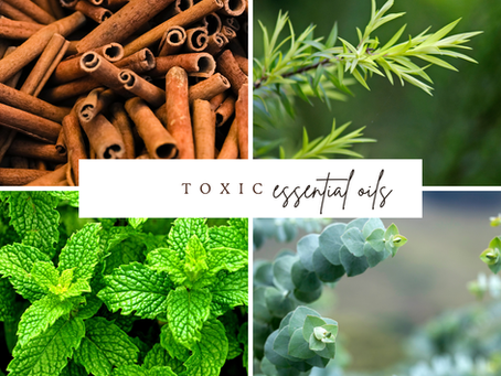 Essential Oils TOXIC to Pets