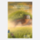 Miniguía para Turistas en Regiones Extrañas