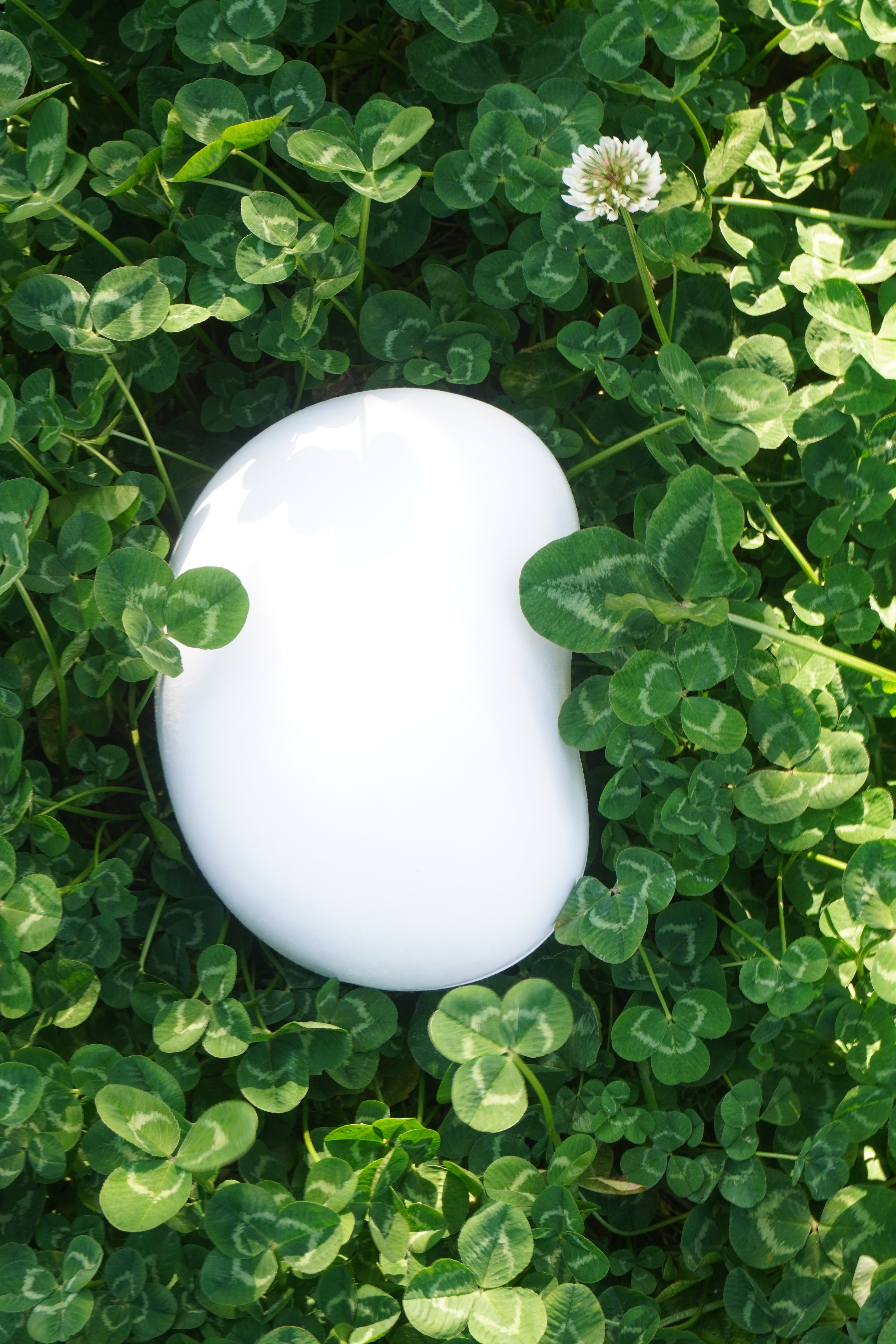 White ceramic pet plaque nestled in clover