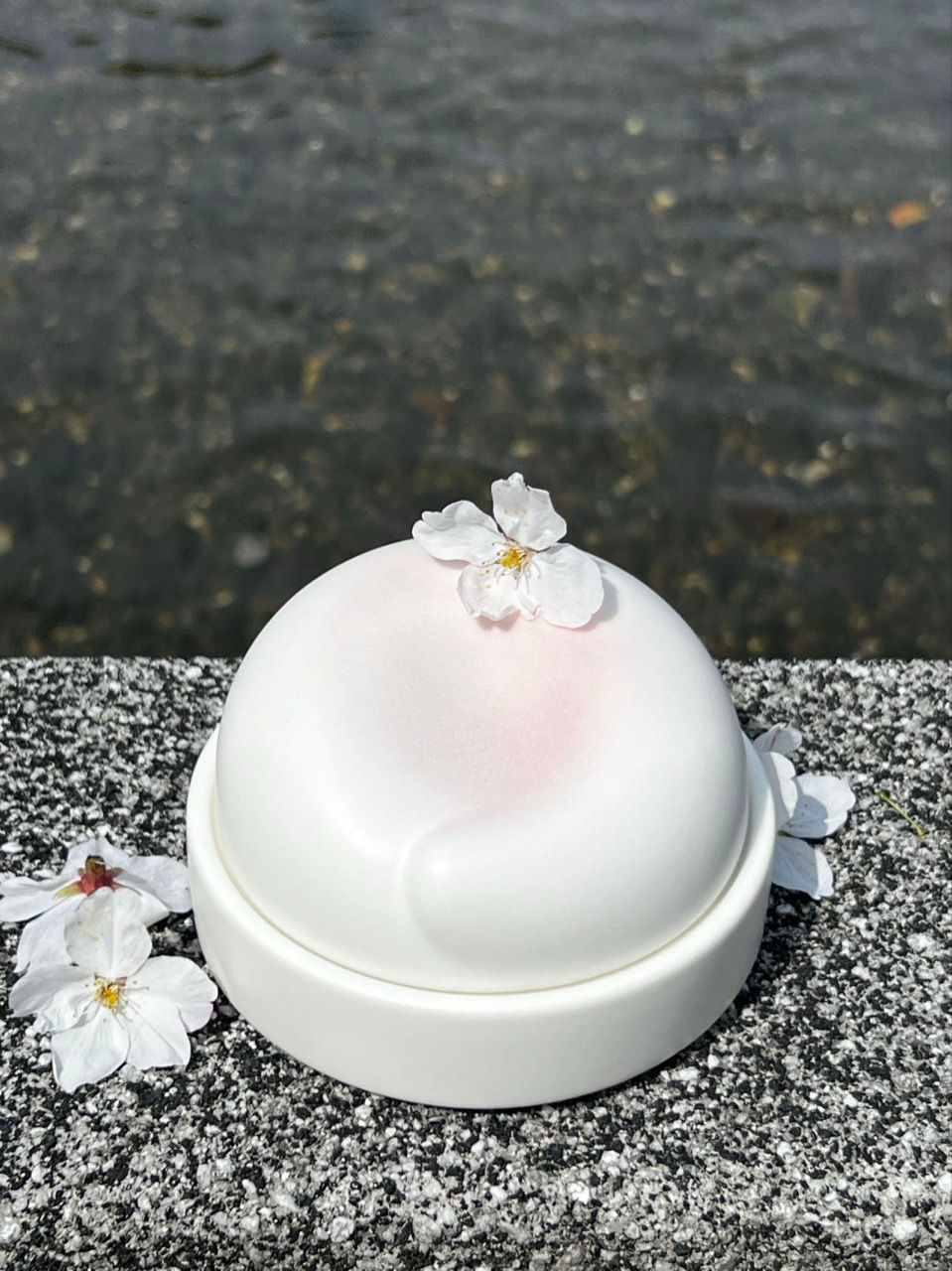 Miniaturbild: White ceramic dome with pink blush and cherry blossoms