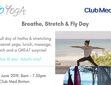 Breathe, Stretch & Fly Day.png