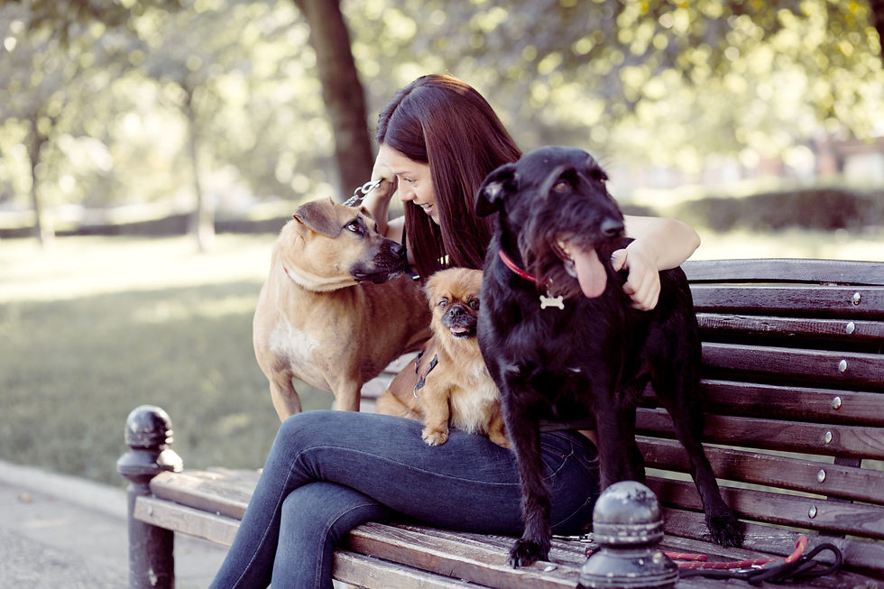 Woman With Dogs