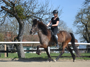 Drei auf einen Streich!