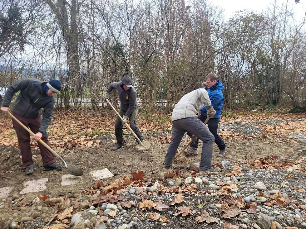 20241210_113659 (1).jpg