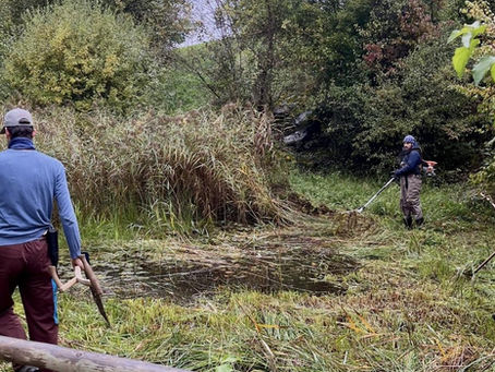Reportage eines Zivis: Ein Tag im Naturschutz