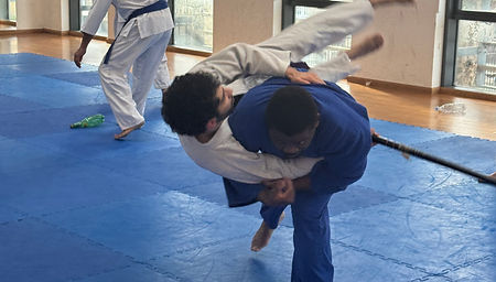 Osoto Gari