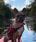 Molly