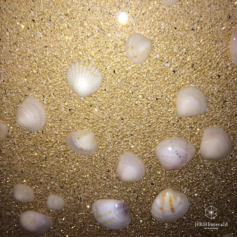 Thumbnail: Original Mixed Media Painting "SeaShells"