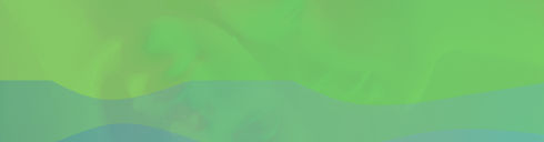 fondooo_edited.jpg