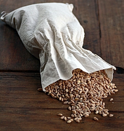 Millets- VJS Global
