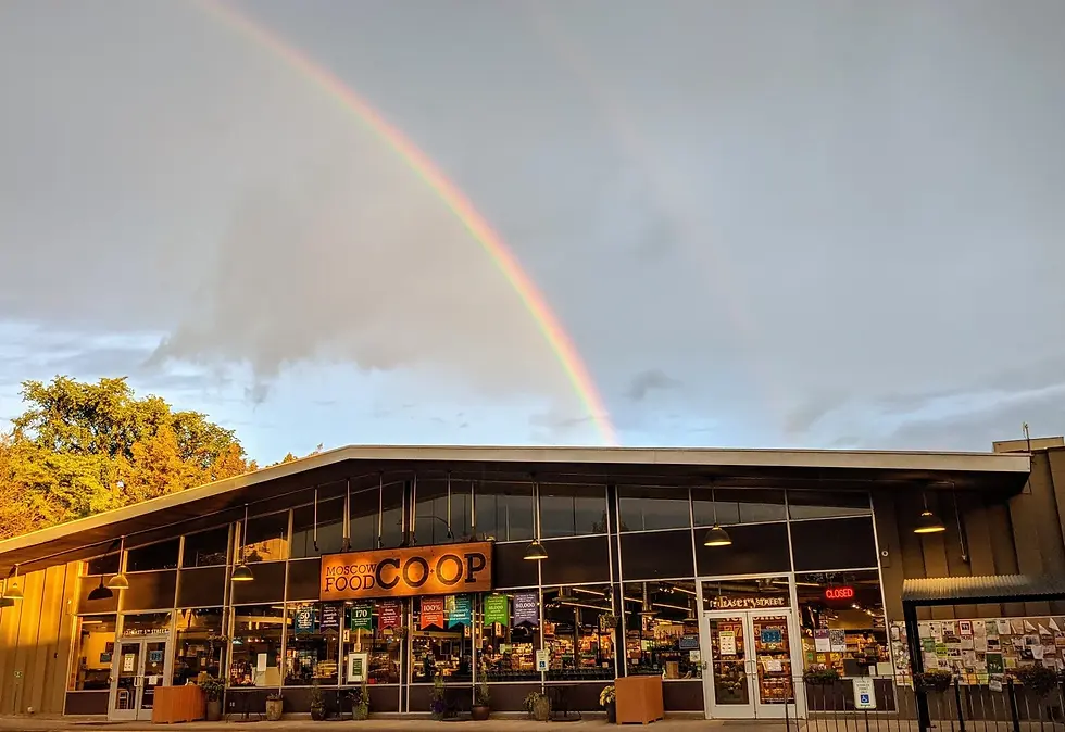 Rainbow+over+Co-op+-+straight.webp