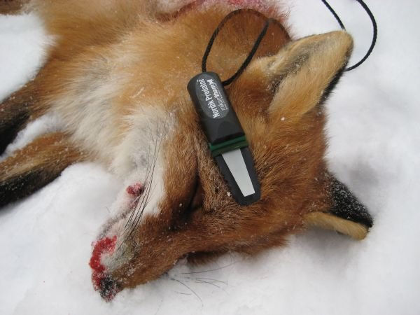 Miniatura: NORDIK PREDATOR RECLAMO