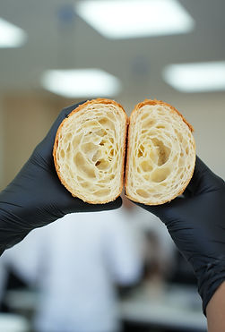 6-week certification course in banaglore