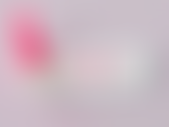 Top 5 Elements Every Website Should Have for Success