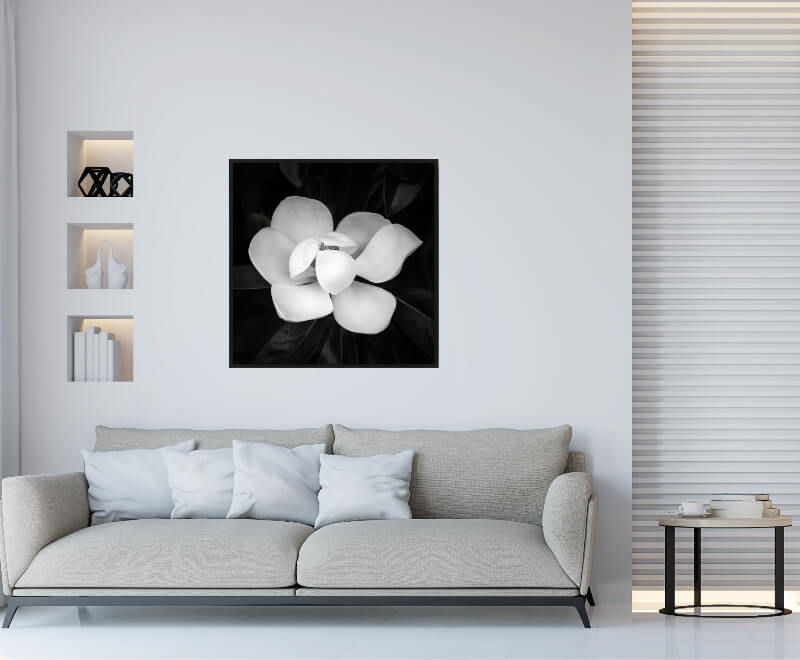 Thumbnail: Magnolia Bloom