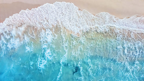 Home Page Option 2.jpg