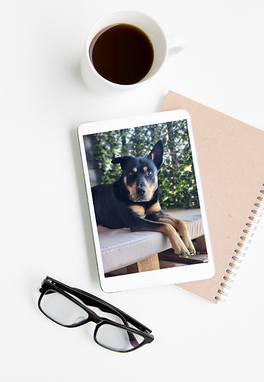 General Administration.png