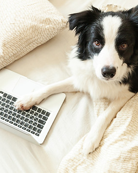 HR and Recruitment.jpg