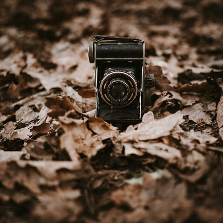 4330DCD5-2E97-4C87-9605-A3B455D55BF1_1_105_c.jpeg