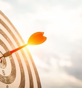 Key Service 5 Niche Specialist Service.jpg