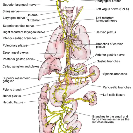 What Has Chanting OM Got To Do With Your Health?