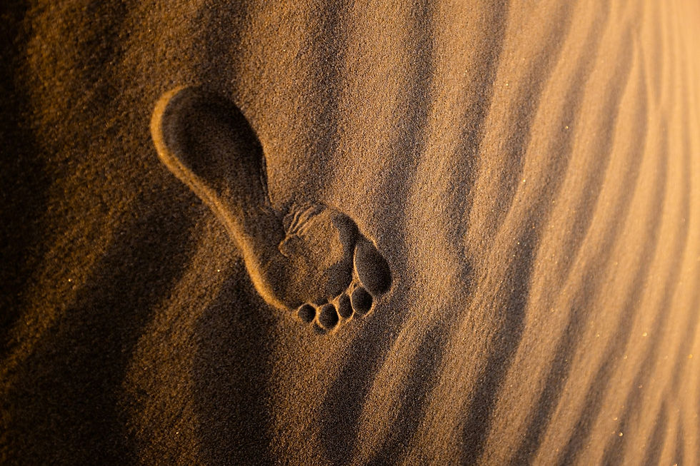 Feet and hammer toes Feet connect into the rest of our body through walking