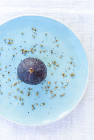 photographe-graphiste-logo-Myriam-Ramel-www.lumieredujour.ch