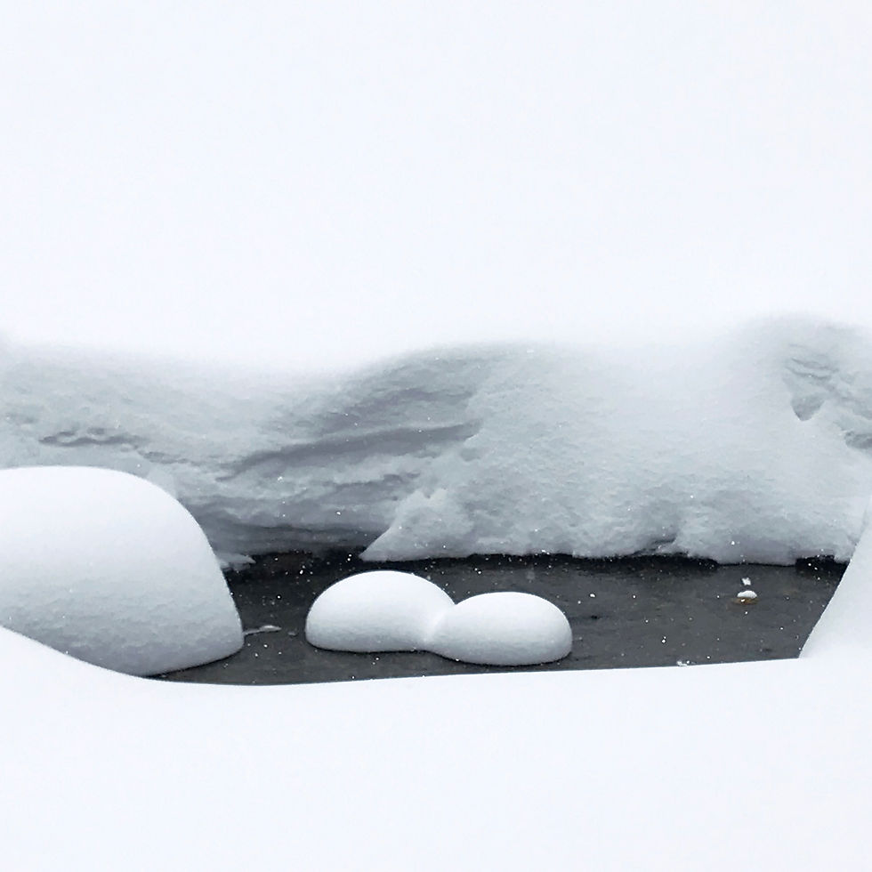 neige R