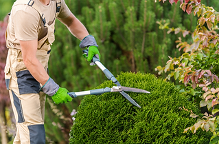 Screenshot 2026-03-02 at 12.47.09 PM.png