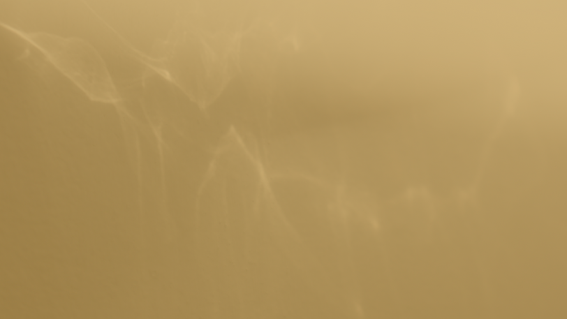 RK CARES WEBSITE ASSETS .png