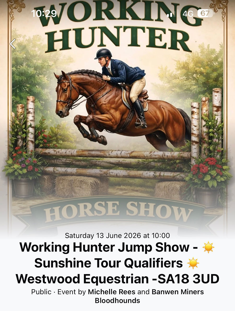 BMB Working Hunter Jump Show - Sunshine Tour Qualifiers