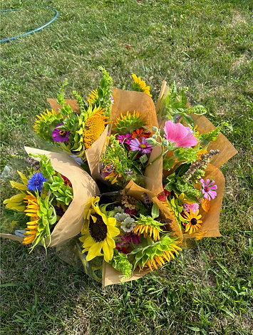 Screenshot 2025-11-24 at 10.32.40 PM.png