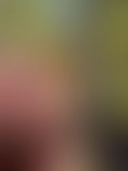 Construction d'un toit "en dur" à la cabane Séléné.