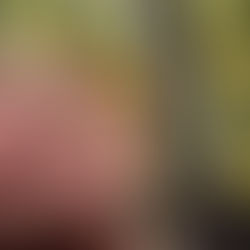 Construction d'un toit "en dur" à la cabane Séléné.