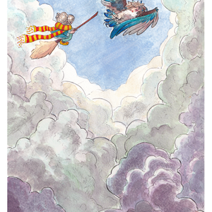 Stormweather Flight