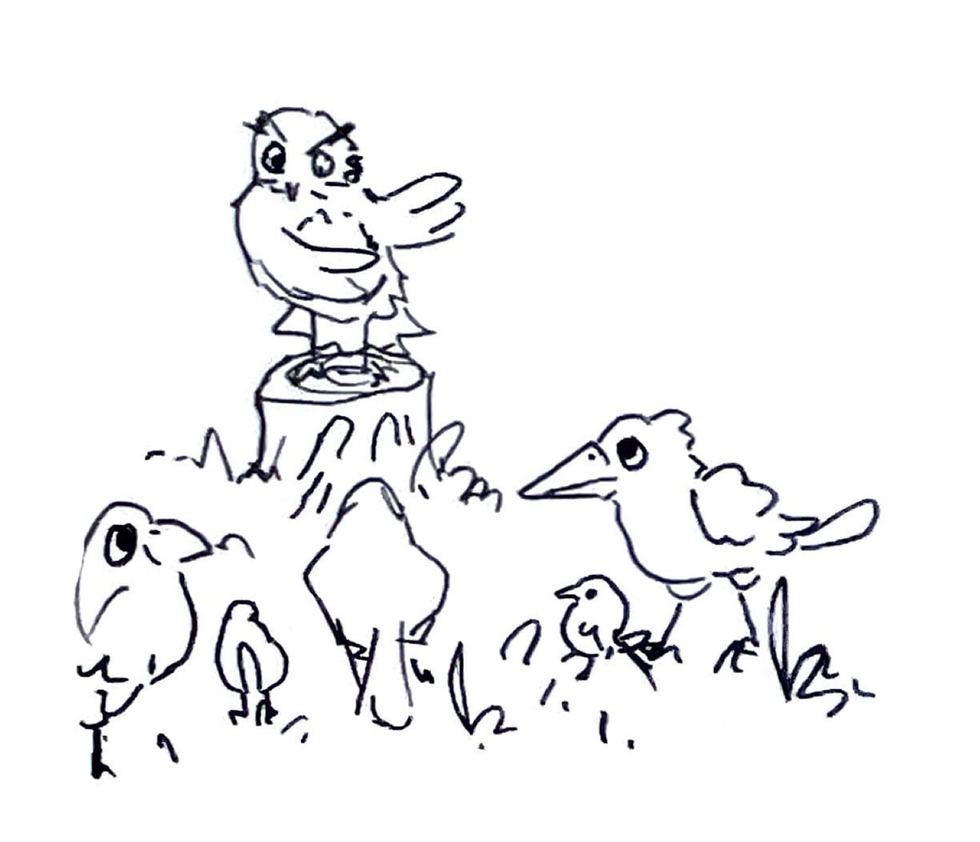 what kind of language do we use