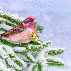 How the Finch Stole Christmas 7x5 for webs.jpg