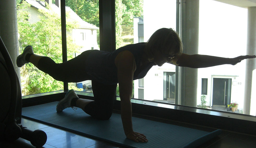 Kurs Rücken Fit ab 8. Januar 2026