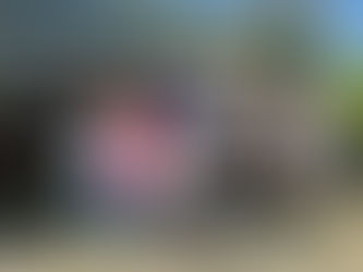 Altpapiersammlung 2026