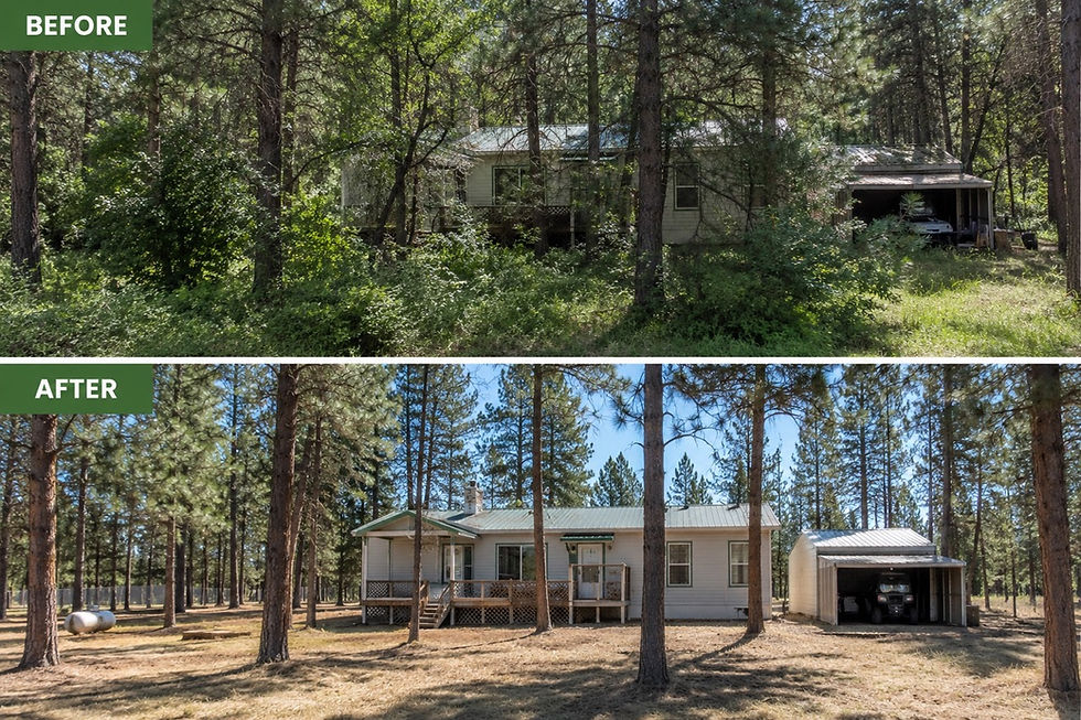Before and after of a small house in pine woods, from overgrown lot to cleared yard; green BEFORE and AFTER labels.