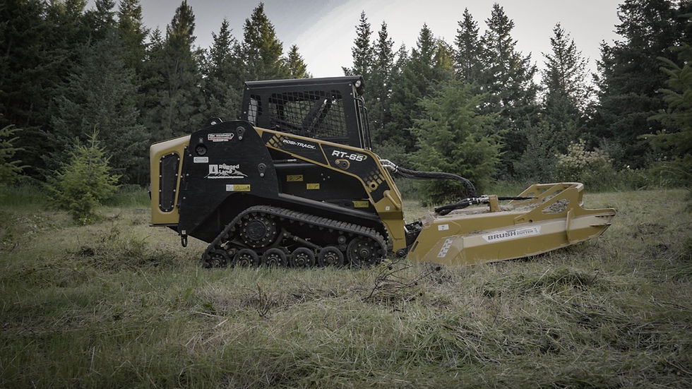 Tracked skid steer with brush cutter trims grass in a pine forest clearing; RT-65 and Brush Cutter labels visible.