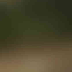 a field after being mowed and the trees are pruned