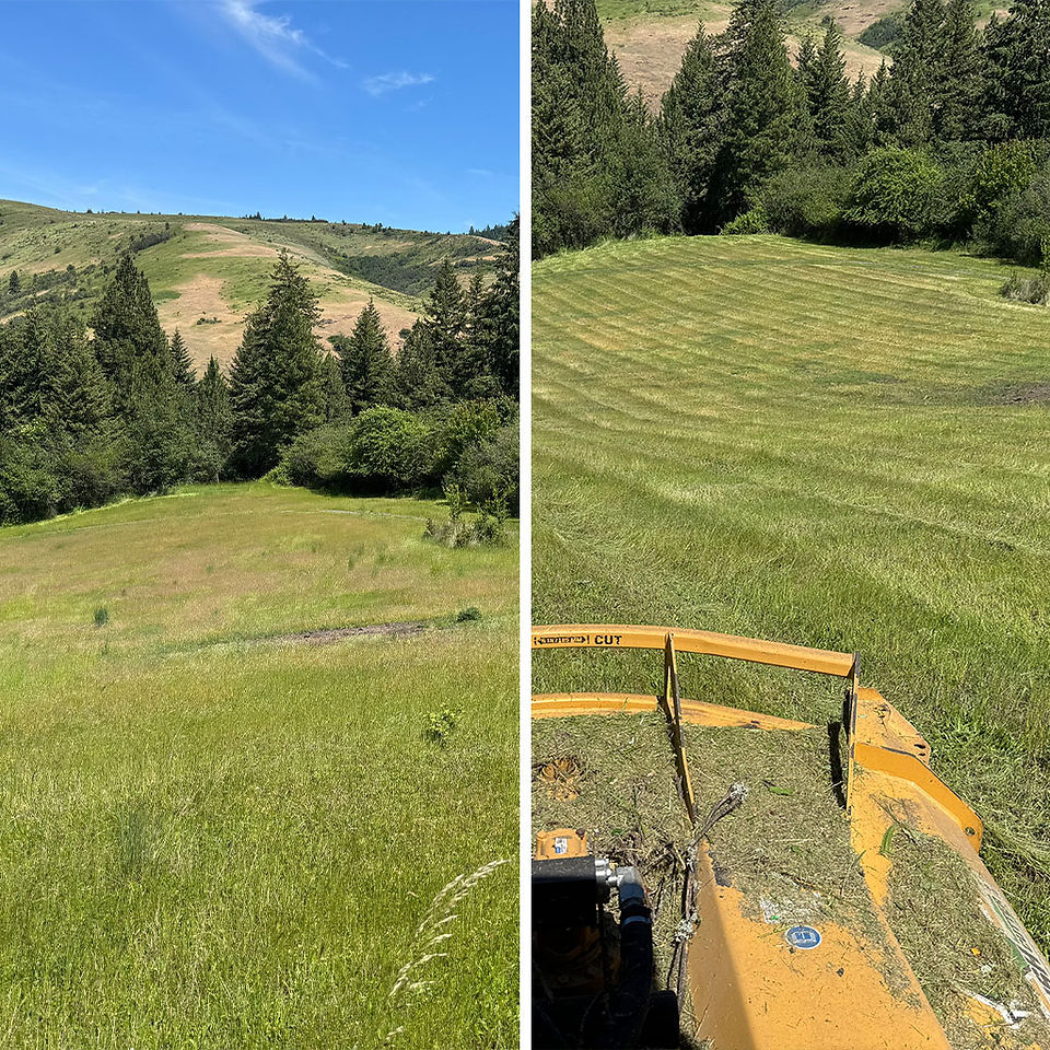 before and after of a pasture that has been mowed using a rough cut mower