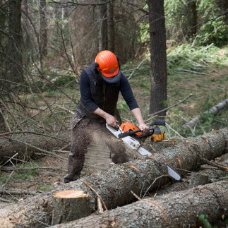 a worker using a chainsaw to cut a tree