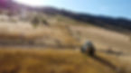 DJI_0185.JPG
