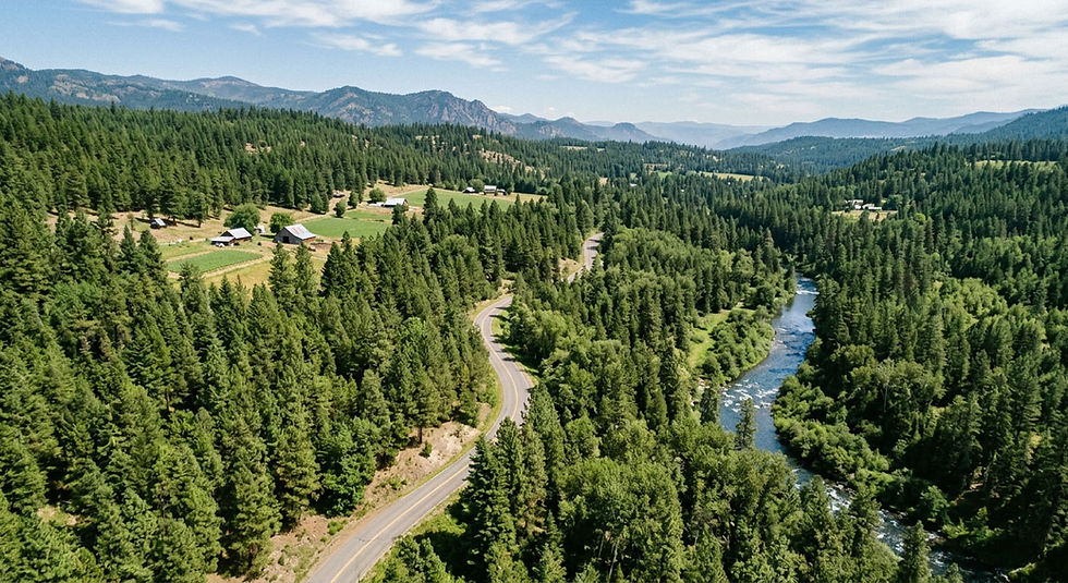 Aerial view of a winding road beside a river through dense pine forest, with cabins and mountains under a blue sky.